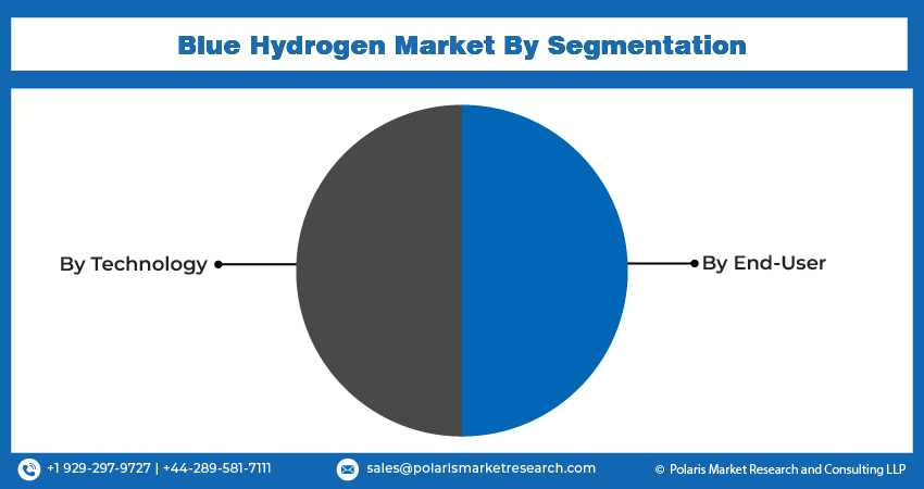 Blue Hydrogen Market Seg